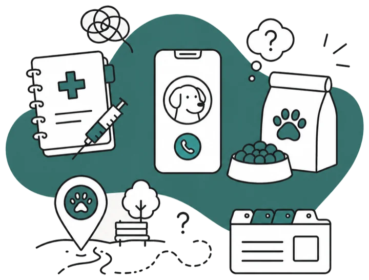 Ilustración de las distintas necesidades de un perro: salud, cuidados, rutinas y lugares.