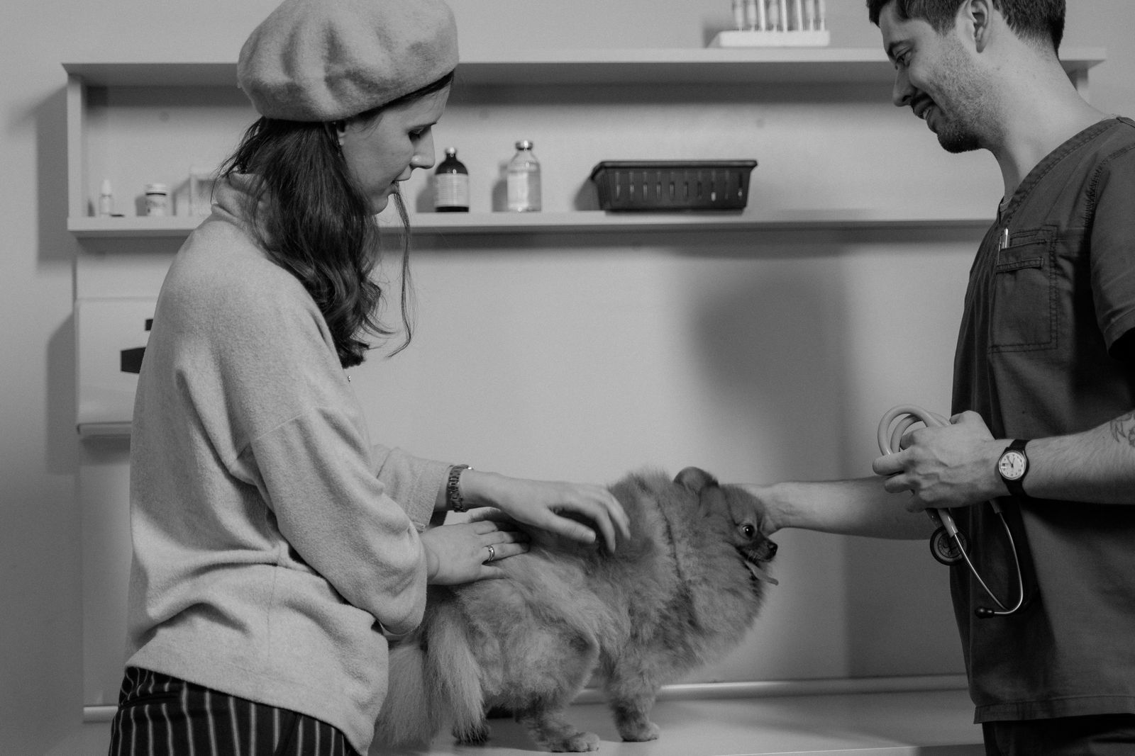 Dueña con su perro junto a un veterinario con estetoscopio
