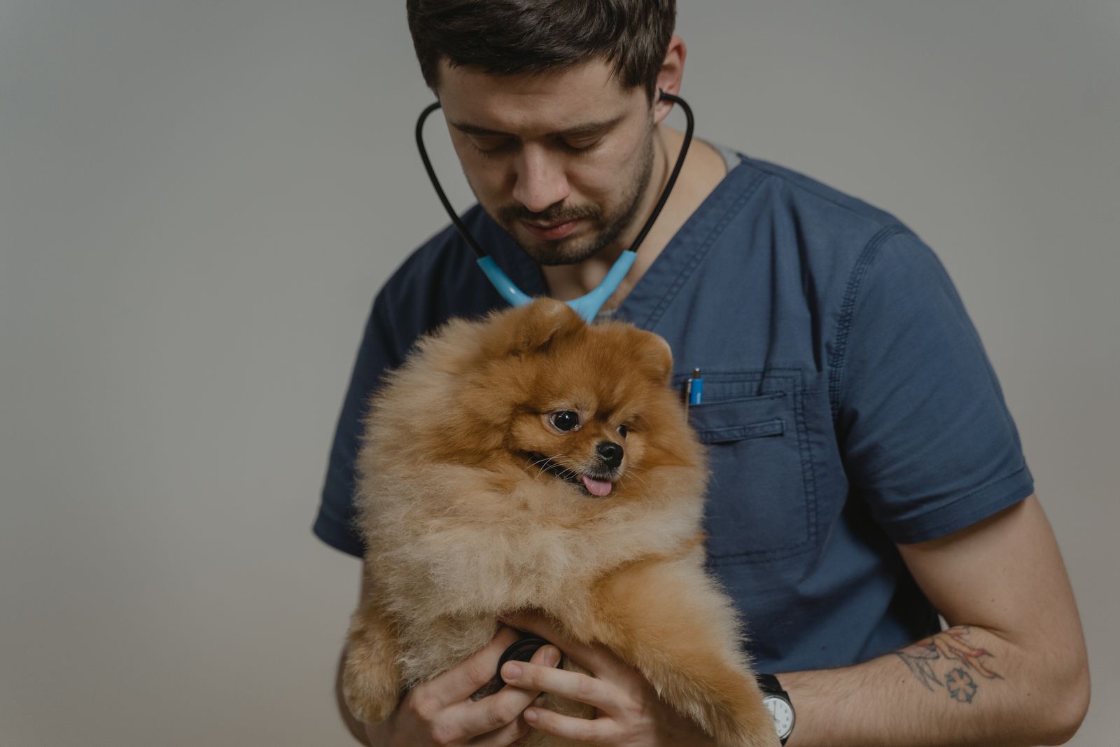 Veterinaria auscultando a un perro con estetoscopio